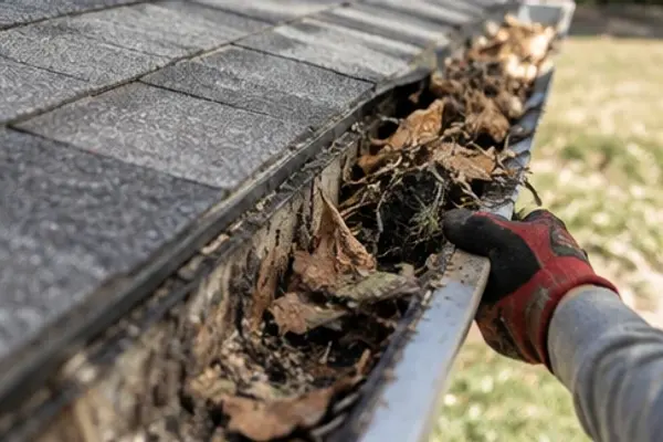Gloved hand clearing packed leaves out of a clogged gutter